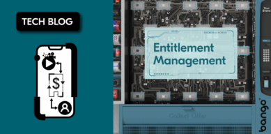 Entitlement Management Blog Image DVM
